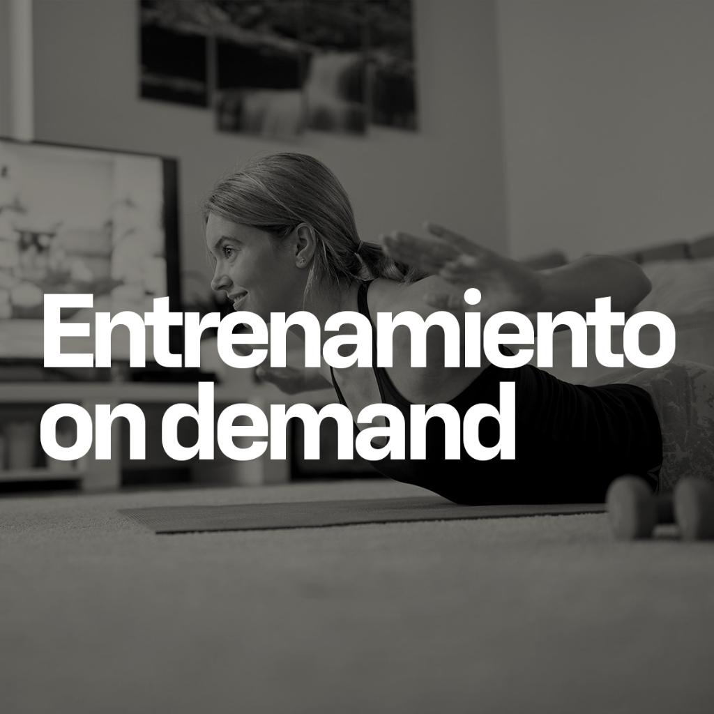 ENTRENAMIENTO VIRTUAL ON DEMAND_1