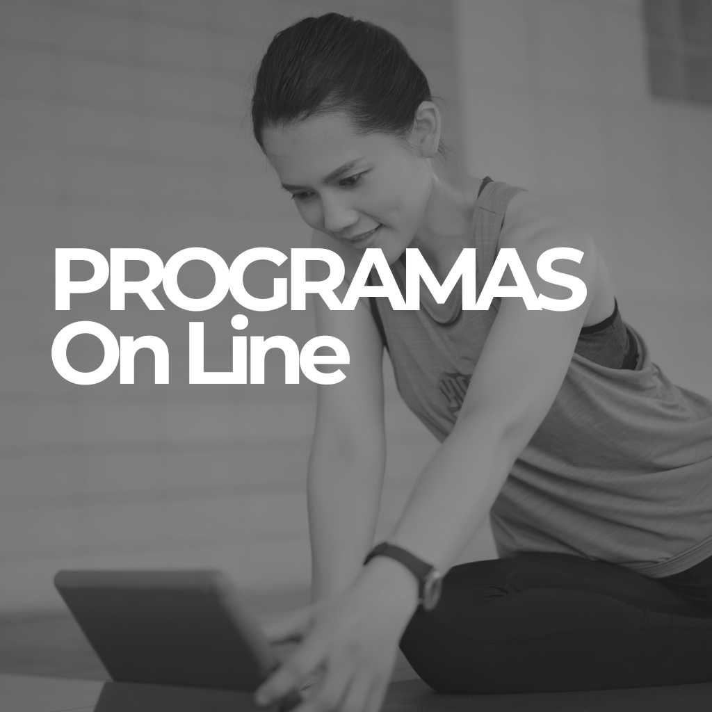 PROGRAMAS ON LINE - FtLauraBecerra